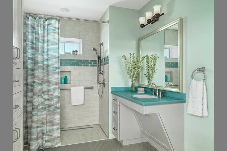 Bathroom Accessibility, Healthcare Facilities Today, Modern Construction & Facilities Maintenance Services